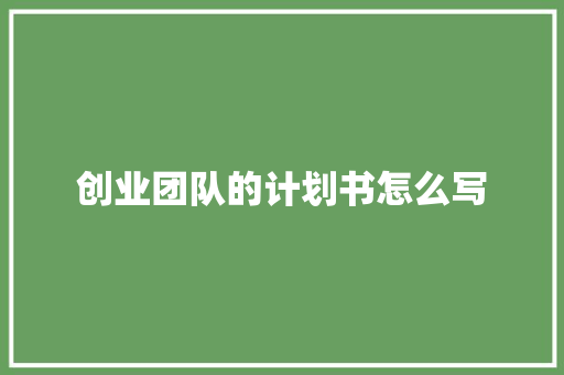 创业团队的计划书怎么写