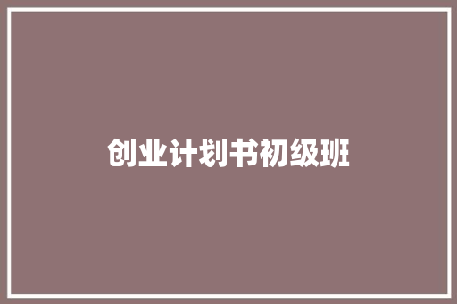 创业计划书初级班