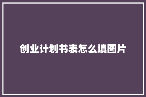 创业计划书表怎么填图片