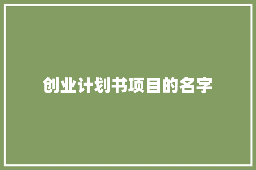 创业计划书项目的名字