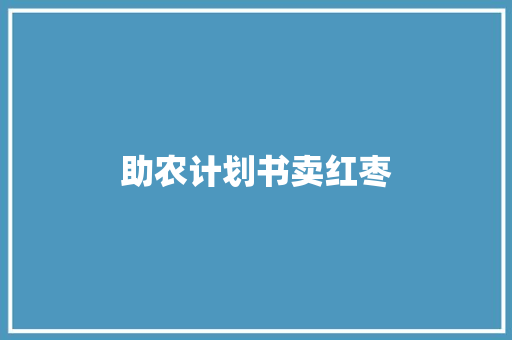 助农计划书卖红枣