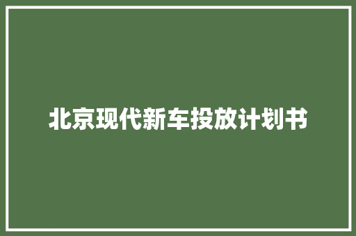 北京现代新车投放计划书 写作技巧