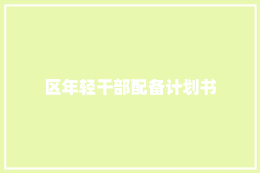 区年轻干部配备计划书