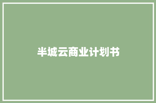 半城云商业计划书