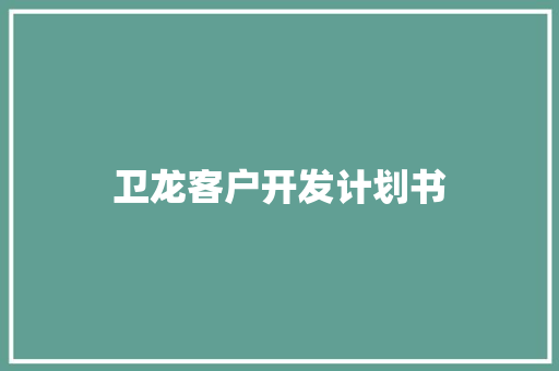 卫龙客户开发计划书
