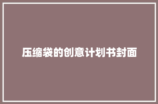 压缩袋的创意计划书封面