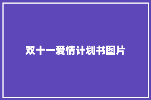 双十一爱情计划书图片