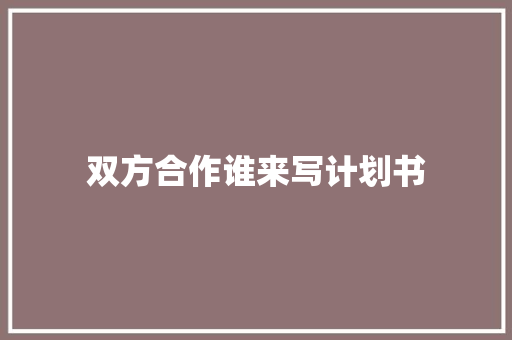 双方合作谁来写计划书