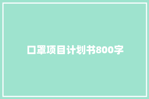口罩项目计划书800字