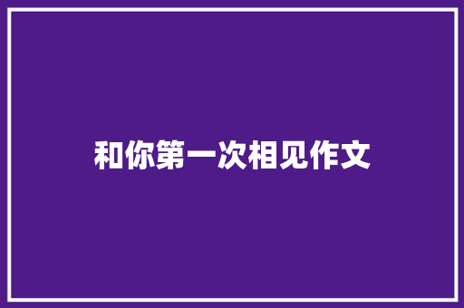 和你第一次相见作文 简历模板