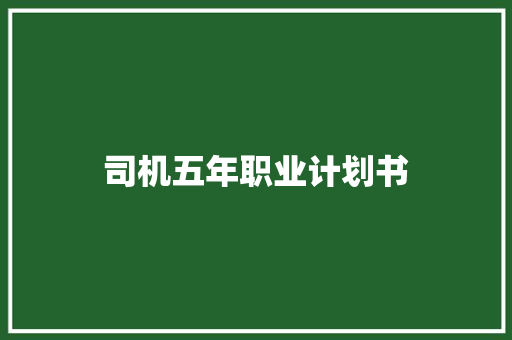 司机五年职业计划书