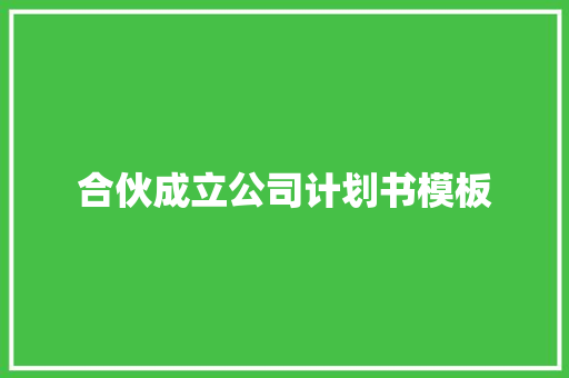 合伙成立公司计划书模板