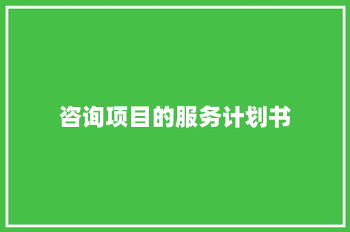 咨询项目的服务计划书