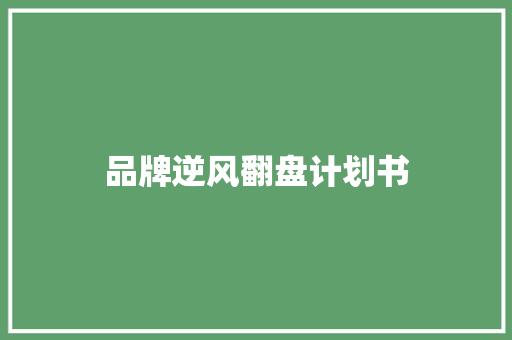 品牌逆风翻盘计划书 词汇积累