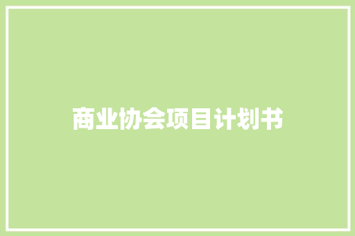 商业协会项目计划书