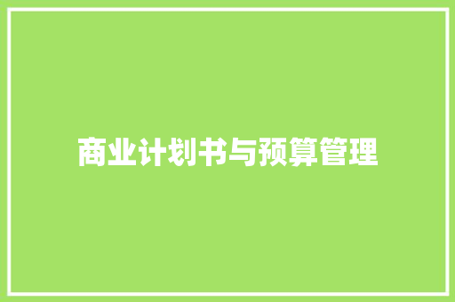 商业计划书与预算管理