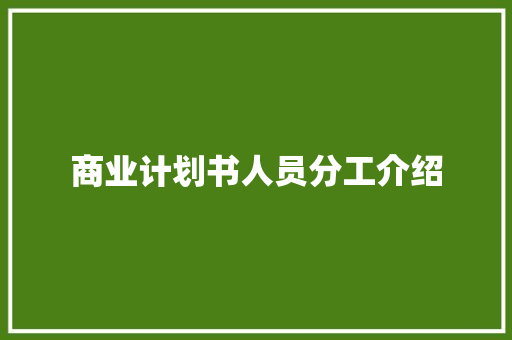 商业计划书人员分工介绍