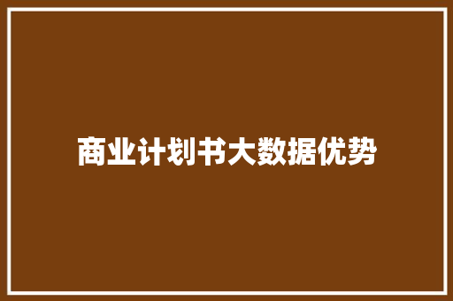 商业计划书大数据优势 写作素材