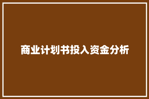 商业计划书投入资金分析 报告写作