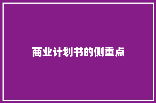 商业计划书的侧重点 词汇积累