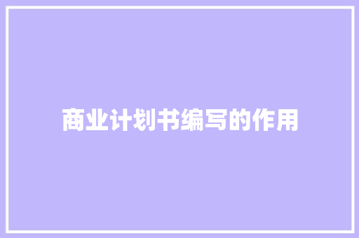 商业计划书编写的作用 词汇积累