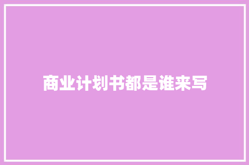 商业计划书都是谁来写