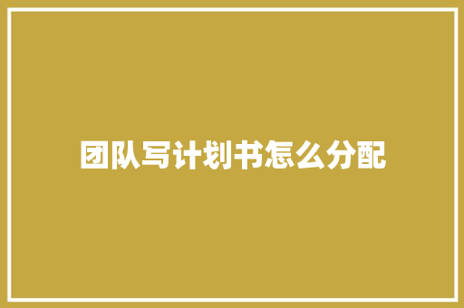 团队写计划书怎么分配
