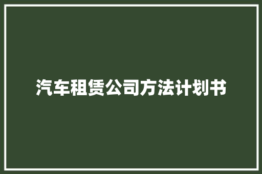 汽车租赁公司方法计划书