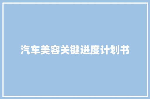 汽车美容关键进度计划书