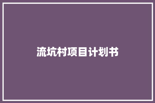 流坑村项目计划书
