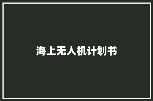 海上无人机计划书