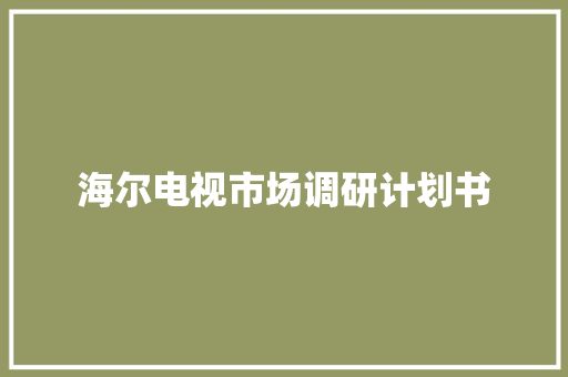 海尔电视市场调研计划书