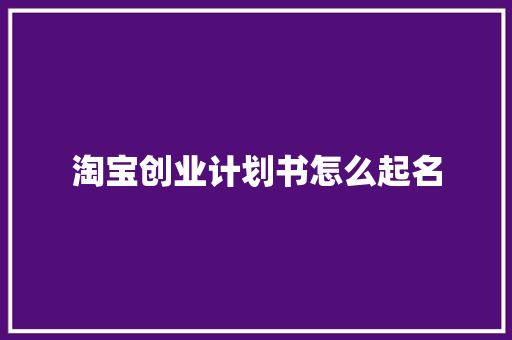 淘宝创业计划书怎么起名
