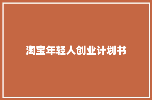 淘宝年轻人创业计划书