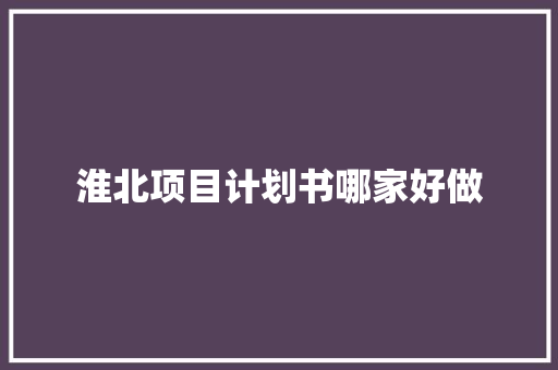 淮北项目计划书哪家好做