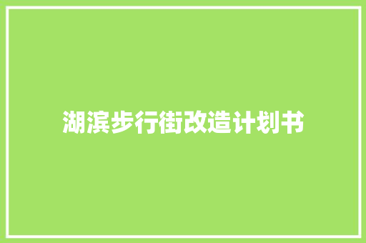 湖滨步行街改造计划书 简历模板