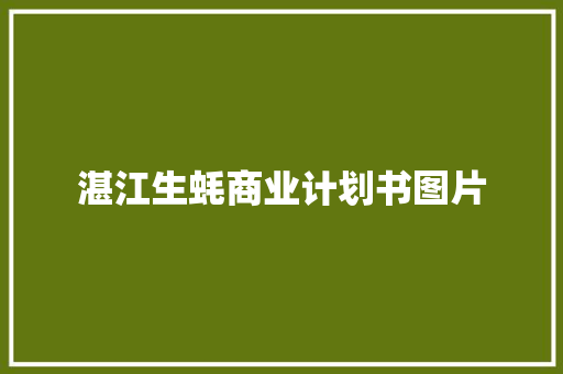 湛江生蚝商业计划书图片