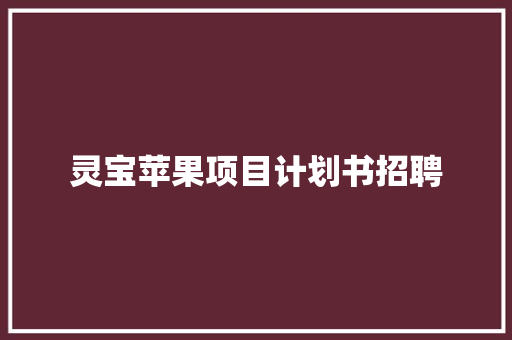 灵宝苹果项目计划书招聘