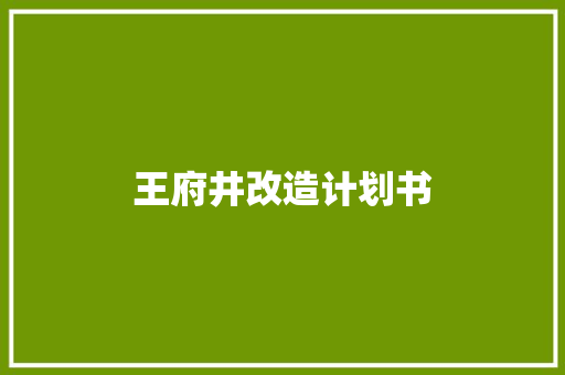 王府井改造计划书