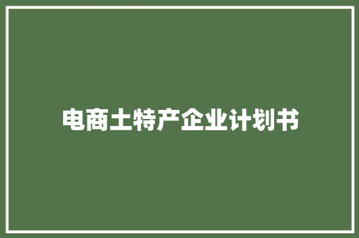 电商土特产企业计划书 商业文案