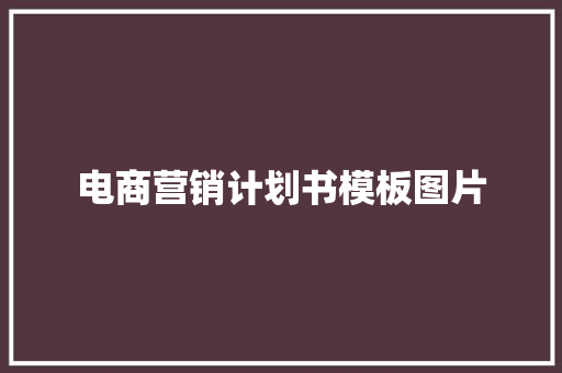 电商营销计划书模板图片