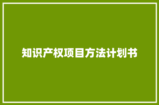知识产权项目方法计划书