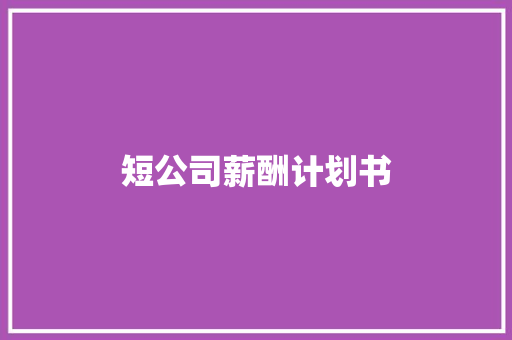 短公司薪酬计划书