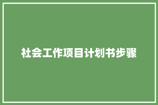 社会工作项目计划书步骤 报告写作