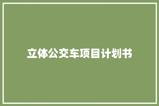 立体公交车项目计划书