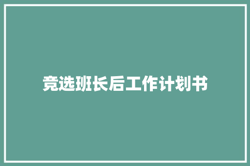 竞选班长后工作计划书