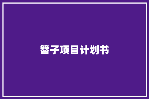 簪子项目计划书