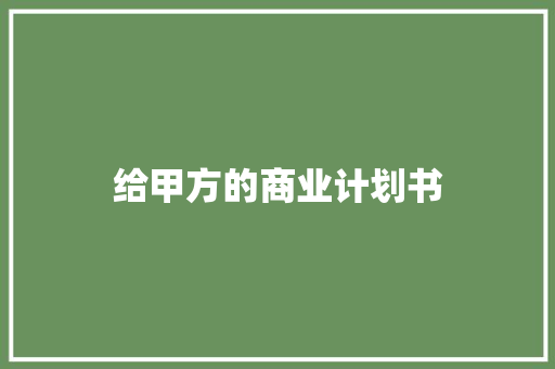 给甲方的商业计划书