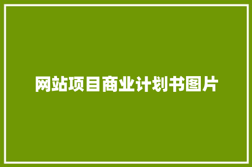 网站项目商业计划书图片