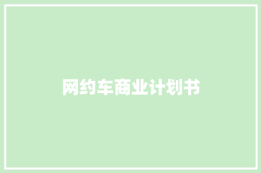 网约车商业计划书